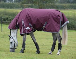 Rugs: ComFiTec Plus Dynamic ll Combo Med Wide - 220g 5'9