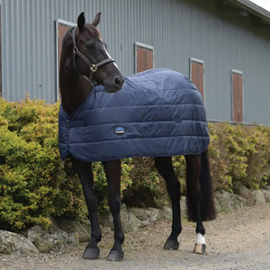 Rugs: ComFiTec Liner - Navy 100G