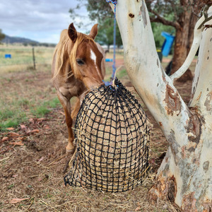 Stable Accessories Hardware: Knotless Hay Net - Small