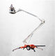 15M Snorkel Cherry Picker RangitikeiHireCentre