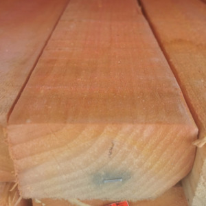 100x50 H1.2 KD SG8 SAWN FRAMING
