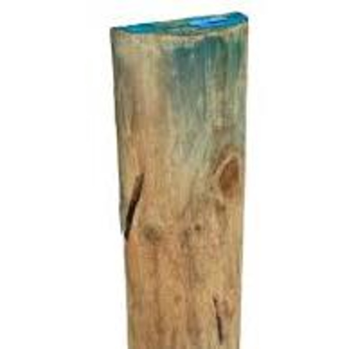 Roundwood: 1.8m 1/2 ROUND POSTS H4
