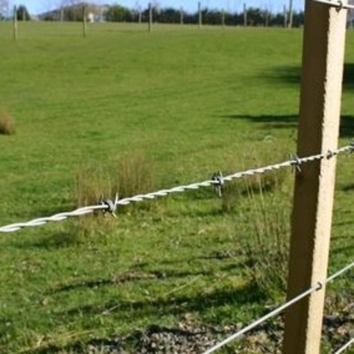 BARBED WIRE