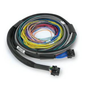 Haltech Nexus S2 and S3 - 2.5m wire-in harness