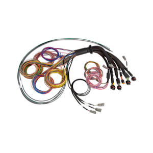 Wiring Harnesses And Connectivity Accessories: Haltech Nexus R5 wiring harness - 5m
