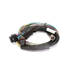 Haltech Elite 2500 wiring harness - basic