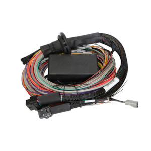 Haltech Elite 1500 wiring harness - premium