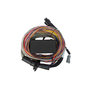 Wiring Harnesses And Connectivity Accessories: Haltech Elite 550 / 750 wiring harness - premium