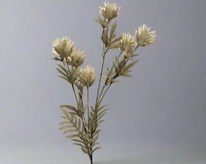 Stoneligh Roberson: MILK THISTLE STEM