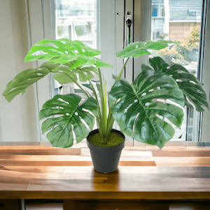 ARTIFICIAL 60CM POTTED MONSTERA