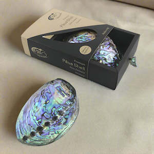 PREMIUM PAUA SHELL