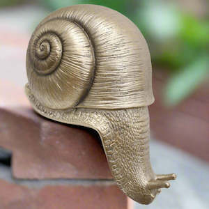 GOLD SNAIL LEDGE