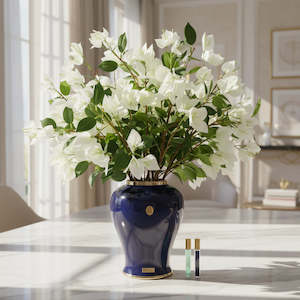 Cote Noire Imperial White Bougainvillea