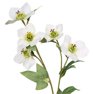 47cm Cream Hellebore Articicial Spray