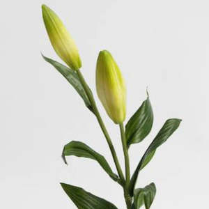 72cm Lily Bud Artificial Spray