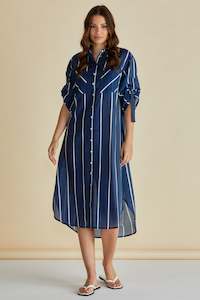Betty Basics Hayman Shirt Dress