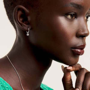 Jewellery 1: Ted Baker Sinaala Silver Huggie Earrings