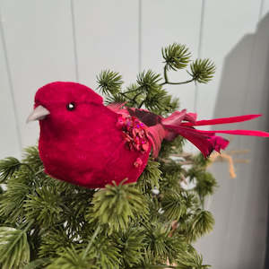 17cm Ava Red Clip Bird Decoration