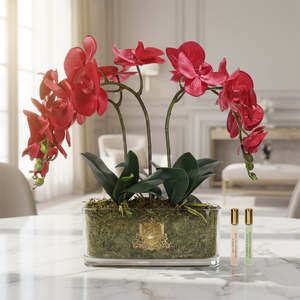 Fragrance: Cote Noire Red Oval Orchid Arrangemnt