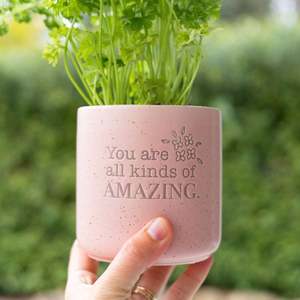 Novelty Gifts: Amazing Quote Positive Plant Pot