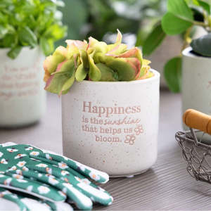 Novelty Gifts: Happiness Quote Positive Plant Pot
