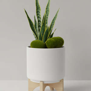 Artificial Flowers: Artificial Moss Stone