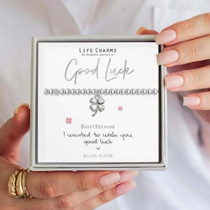 Good Luck Life Charms Silver Bracelet