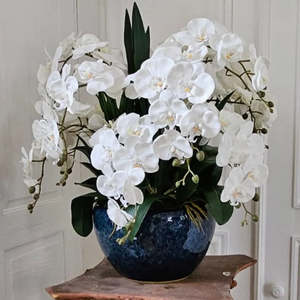 Côte Noire Luxury Giant Orchid