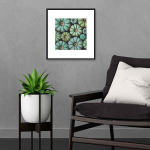 Kiwiana: Castaways Framed Artwork