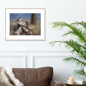 Kiwiana: Rendezvous Framed Artwork