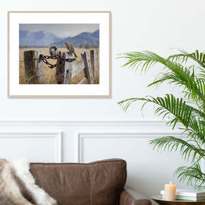Kiwiana: On the Fence Framed Artwork