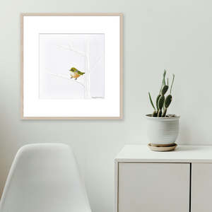 Kiwiana: Resting Framed Artwork