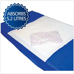 Health Hub: Haines TouchDry Absorbent Pads Plus- Maternity