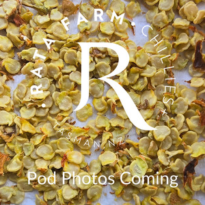 Products: FONTERA SWEET HABANERO Seeds Rata Farm