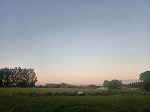 Products: Space Capture®