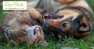 Products: Raw Pawz Wild Goat 4.8Kg - Raw Pawz - Raw Meats for Cats & Dogs