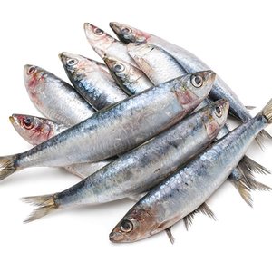 Products: Raw Pawz Fish Bulk 4kg - Raw Pawz - Raw Meats for Cats & Dogs