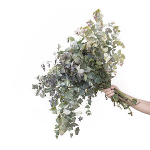 I'm a product RB Glass & Glazing