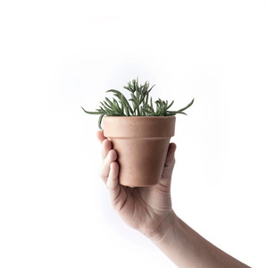 I'm a product RB Glass & Glazing