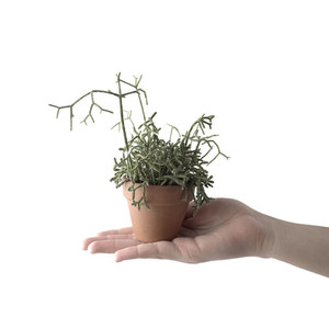 I'm a product RB Glass & Glazing