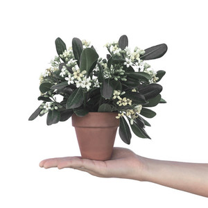 I'm a product RB Glass & Glazing