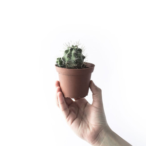 I'm a product RB Glass & Glazing