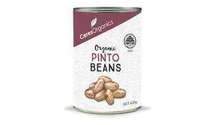 Beans Pulses: Organic Canned Pinto Beans