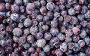 Organic: Monavale Organic Blueberries