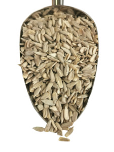 Organic Sunflower Seeds