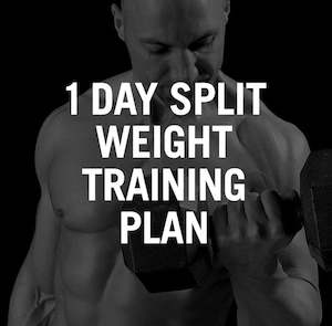 3 Day Split Workout