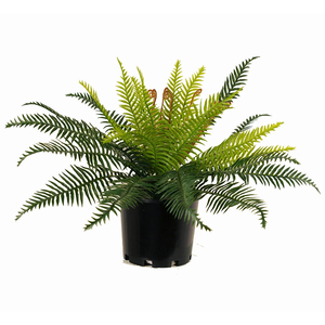 Products: Artificial Blechnum Fern