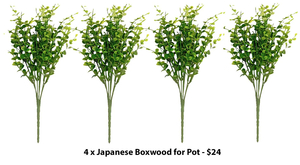 Products: Artificial Japanese Boxwood