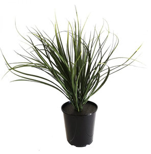 Artificial sea grass in pot ReadyLeaf