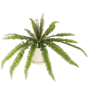 Artificial Boston Fern Plants ReadyLeaf